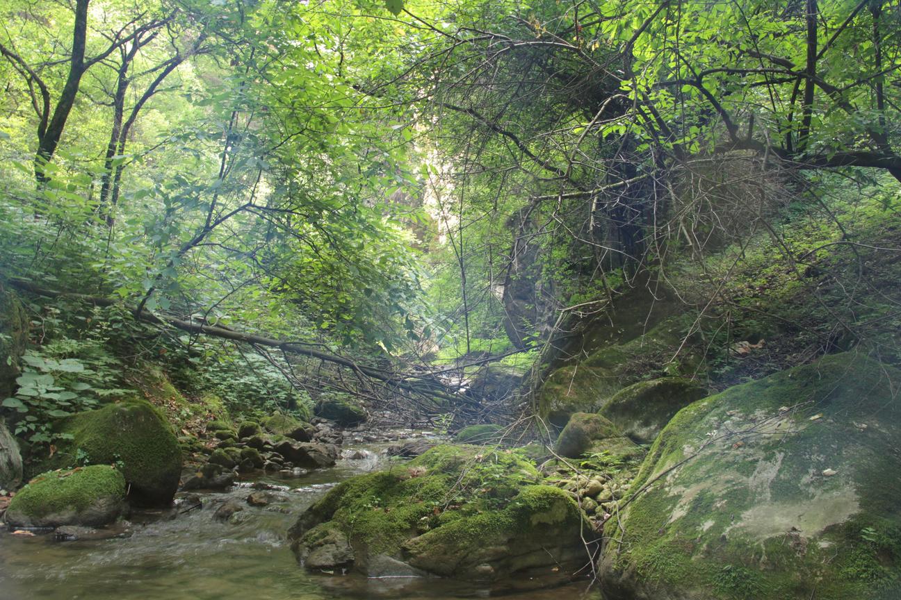 山间泉水
