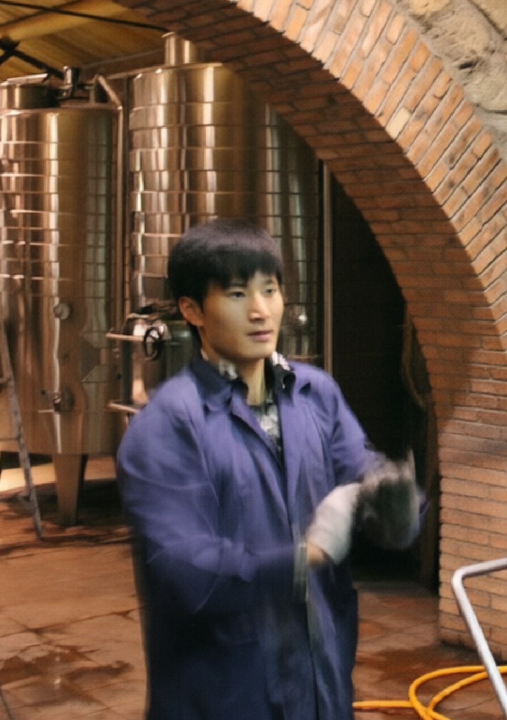 酒庄工作时的自己