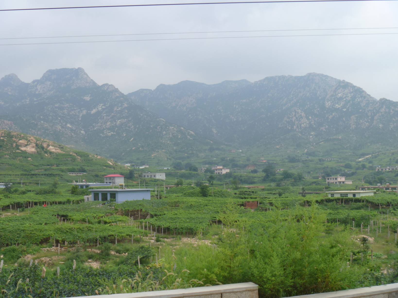 P1000533.JPG