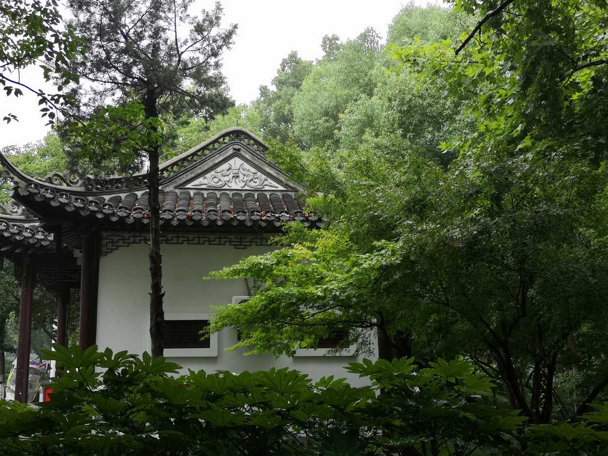 IMG_20190629_083701.jpg