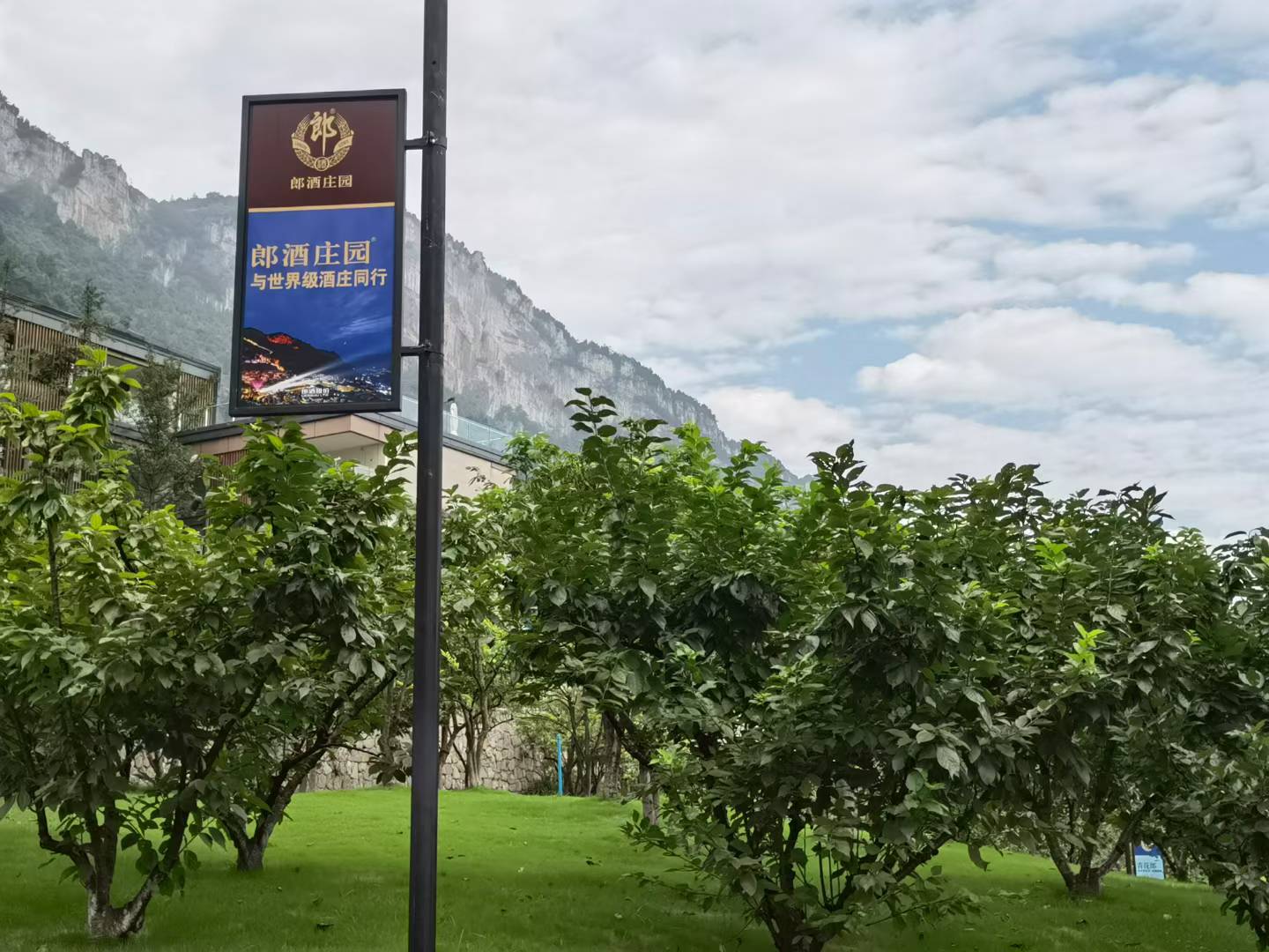 Weixin Image_2026-07-16_152018_200.jpg